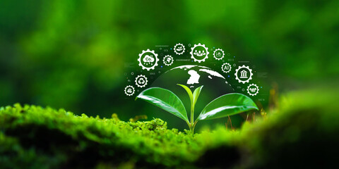 ESG concepts, environmental, social and governance tree planting in sustainable and ethical business operations and net zero carbon technology, global sustainable environmental organization