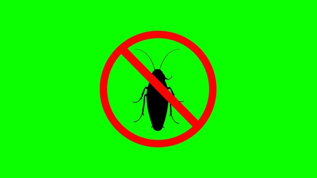 Cockroach pest in prohibited sign, CG animation on green background