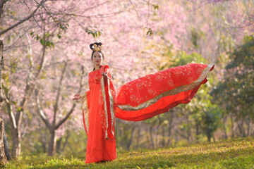 Cherry blossom tree branch