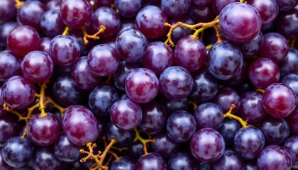 Fototapeta premium Juicy Red Grapes Fresh Fruit Background Image
