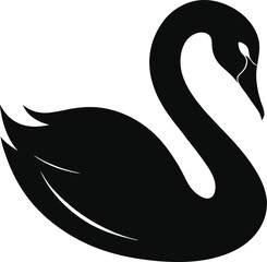 black swan vector illustration