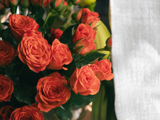 Fresh Roses with sunlight background