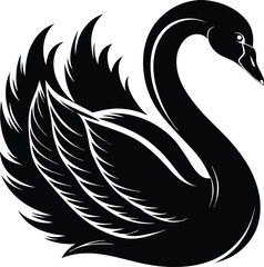 Fototapeta premium black swan vector illustration