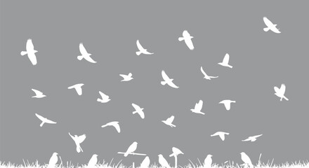 Fototapeta premium Flock of Birds Flying in Gray Sky White Silhouettes Nature Wallpaper