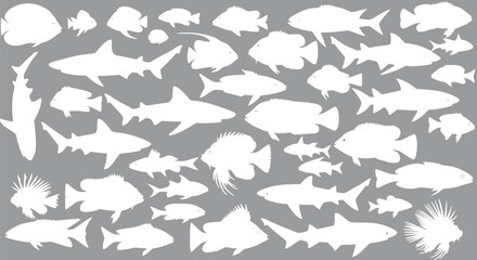 Collection of White Fish Silhouettes Marine Life Ocean Animals Underwa