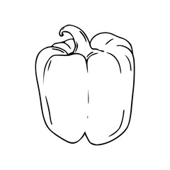 fresh capsicum vegetable line art