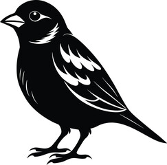 Obraz premium black and white bird vector illustration