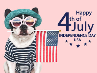 Happy Independence Day. American Flag and cute puppy. Closeup, indoors. Studio shot....