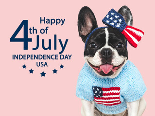 Happy Independence Day. American Flag and cute puppy. Closeup, indoors. Studio shot....