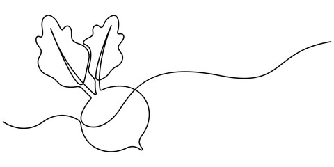 Continuous one line drawing of beetroot vegetable. Beetroot single line art vector illustration. Garden beet black linear sketch isolated on white background. Editable vector.