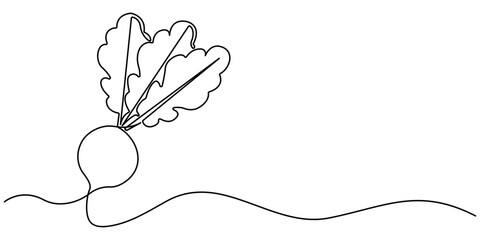 Continuous one line drawing of beetroot vegetable. Beetroot single line art vector illustration. Garden beet black linear sketch isolated on white background. Editable vector.