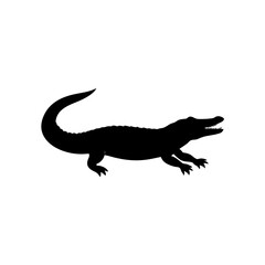 Fototapeta premium Professional Side Profile of a Howling Wolf as a Black Silhouette Vector Design