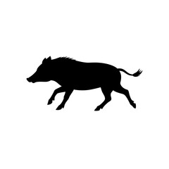 Fototapeta premium High Quality Monochrome Vector Graphic of a Running Wild Boar in Side Profile