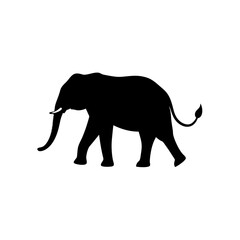 Obraz premium Detailed Side View of a Running Wild Boar Rendered as a Black Silhouette Graphic