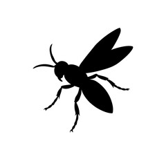 A Clean Vector Art Piece of a Flying Wasp in a Detailed Side Profile
