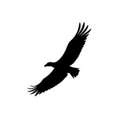 Obraz premium An Elegant Monochrome Vector Illustration of a Soaring Vulture in a Side Profile