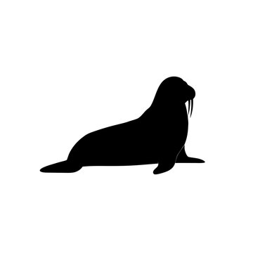 Detailed Side View of a Resting Walrus Rendered as a Black Silhouette Graphic