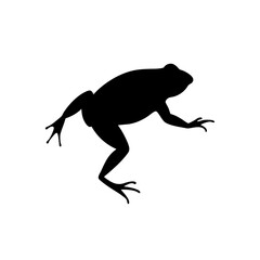 Obraz premium A Black Silhouette Vector Illustration of a Jumping Toad from a Side Profile
