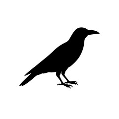 Obraz premium Clean Vector Art of a Perched Raven Showcased as a Black Silhouette from the Side