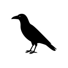 Obraz premium A Detailed Black Silhouette Vector Graphic Featuring a Perched Raven Side View