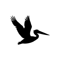 Obraz premium Professional Side Profile of a Flying Pelican as a Black Silhouette Vector Design