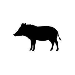 A Detailed Black Silhouette Vector Graphic Featuring a Peccary in a Side Profile