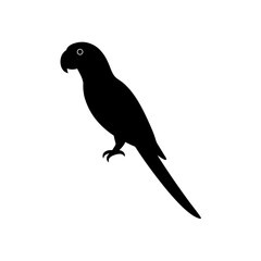 Fototapeta premium Elegant Side Profile Vector Illustration of a Perched Parrot a Black Silhouette