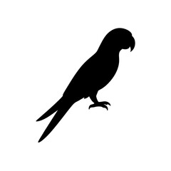 Fototapeta premium A Monochrome Side Profile Graphic of a Perched Parrot a High Quality Vector Art