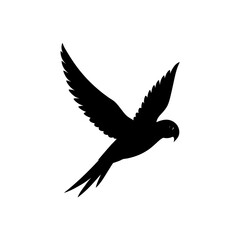 Fototapeta premium A Monochrome Side Profile Graphic of a Flying Parakeet a High Quality Vector Art