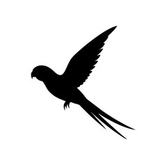 Fototapeta premium A Clean Side View Vector Art of a Flying Parakeet Showcased as a Black Graphic