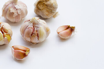 Garlic on a White background.