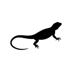 Obraz premium Calm Side View of a Lizard Basking Black Silhouette Vector Clip Art Illustration