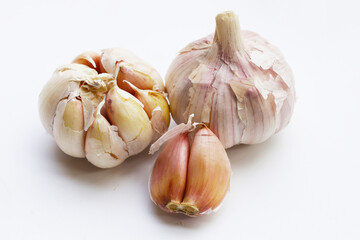 Garlic on a White background.