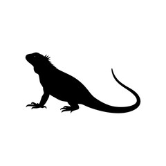 Obraz premium Simple Side View of an Iguana Basking Black Silhouette Vector Clip Art Illustration