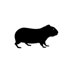Obraz premium Slow Side View of a Guinea Pig Walking Black Silhouette Vector Clip Art Illustration