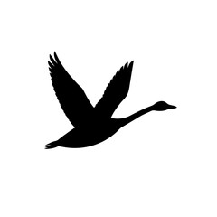 Fototapeta premium Basic Side View of a Goose Flying Black Silhouette Vector Clip Art Illustration