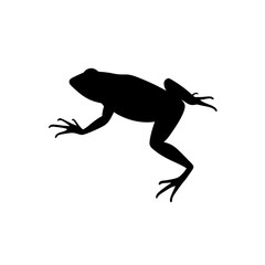 Energetic Side View of a Frog Jumping Black Silhouette Vector Clip Art Illustration
