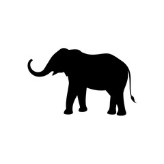 Obraz premium Black Silhouette Of a Side View Elephant Walking with Trunk Up vector illustration