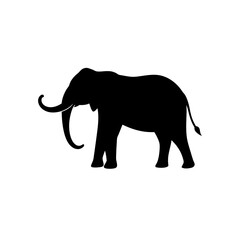 Obraz premium Black Silhouette Of a Side View Elephant Walking Gently vector illustration