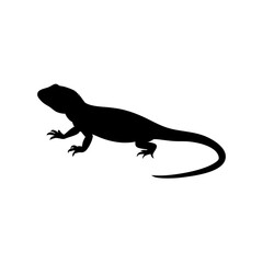 Obraz premium Black Silhouette Of a Side View Bearded Dragon Crawling on White vector illustration