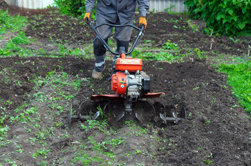 a man plows the land with a walk-behind tractor for further planting