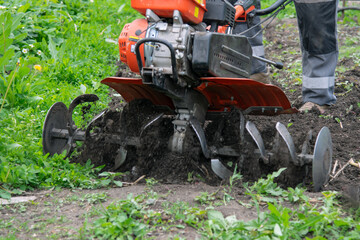 Obraz premium the walk-behind tractor plows the soil