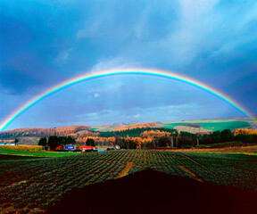 虹立つ丘（上富良野町）