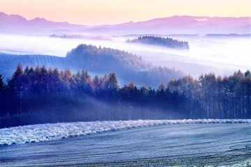 Fotobehang 朝霧漂う丘（上富良野町） © itoh masako