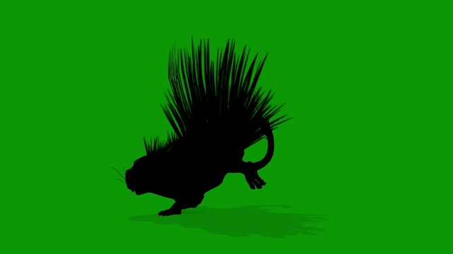 Black Cape Porcupine  Silhouette Running Left Camera Green Screen Animation