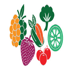 Colour fruites vector.