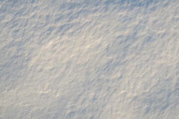 Snow covers the background. Snow fills the background completely. Snow adds beauty to the background. Snow blends into the background. Snowy pattern.