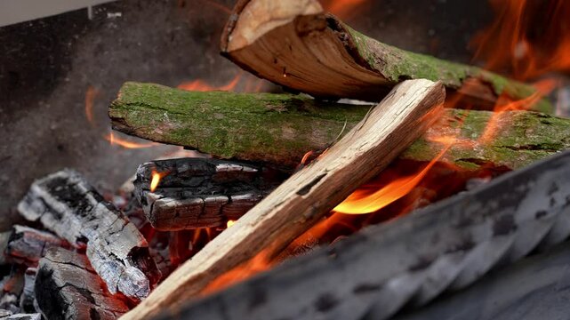 Burning woods in barbecue grill outdoors during summertime. Preparing smoked grilled American traditional bbq food. Family time holidays activities
