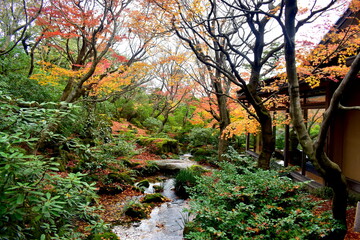 由志園　紅葉　島根　秋