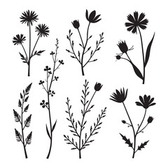 Black and white floral silhouette set with nature inspired decorative elements